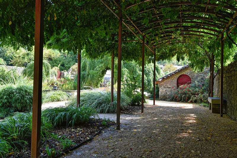 Mystical Arbors